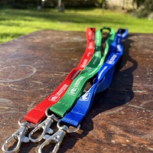 Lanyard (3 pack)