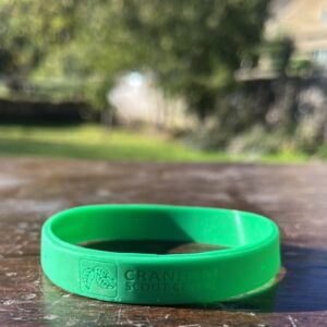 Wristband